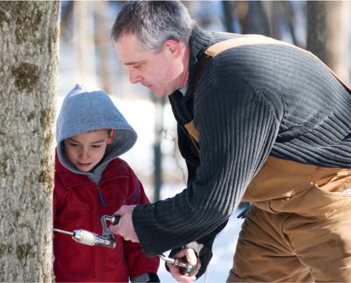 Father-and-son-tapping-tree